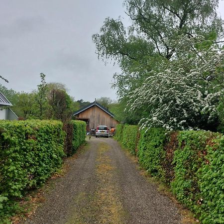 Bed and Breakfast De Barre Hichte Nijeberkoop Zewnętrze zdjęcie
